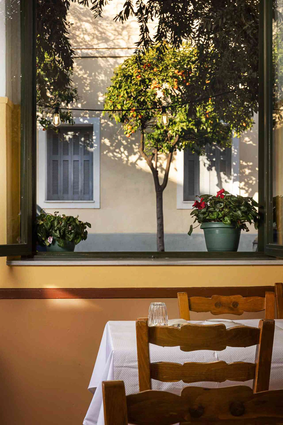 Food and moments at Taverna Oikonomou