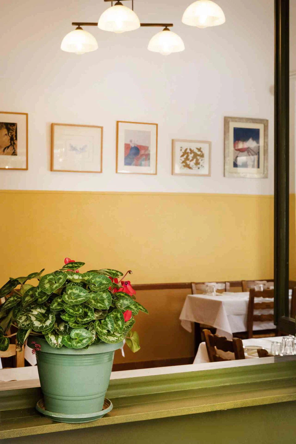 Food and moments at Taverna Oikonomou